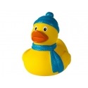 Badeend winter DR