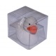 Badeend Ducky 7,5 cm DR wit  Wit