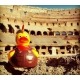 Romeinse Soldaat badeend LUXY  Luxy ducks