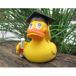 Diploma duck Lanco  Lanco