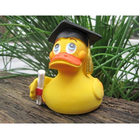 Diploma duck Lanco  Lanco