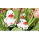 Badeend DUTCH DUCKY Tulp 8 cm  Dutch Ducky