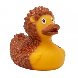 Rubber Duck Hedgehog LILALU  Lilalu