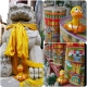 Yoga duck Lanco  Lanco