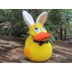 Bunny duck Lanco  Lanco