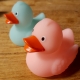 Badeend Ducky 7,5 cm DR glow in the dark zalmroze  Overige kleuren