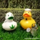 Badeend DUTCH DUCKY Cannabis /wiet 8 cm  Dutch Ducky