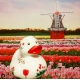 Badeend DUTCH DUCKY Tulp 8 cm  Dutch Ducky