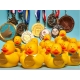 Rubber duck mini winner (per 3)  Mini ducks