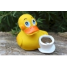 Coffee duck Lanco