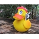 Pirate duck Lanco  Lanco