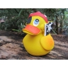 Pirate duck Lanco