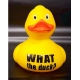 Rubber duck 12,5 cm DR  Yellow