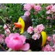 Rubber duck Mona Lisa LUXY  Luxy ducks