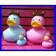 Rubber Duck crown pink LILALU  Lilalu