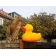 Rubber duck Giant XL 30 cm TT  Yellow