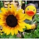 Rubber duck Mona Lisa LUXY  Luxy ducks