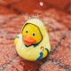 Rubber duck bad weather raincoat DR  More ducks