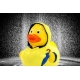 Rubber duck bad weather raincoat DR  More ducks