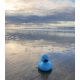 Rubberduck baby blue 8 cm B  Other colors