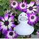 Badeend wit met zilveren snavel 8.5 cm B  Wit