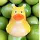 Rubber duck Snail LILALU  Lilalu