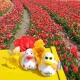 Gummie-ente DUTCH DUCKY Summer Time 8 cm  Dutch Ducky