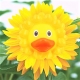 Rubber duck Sunflower LILALU  Lilalu