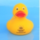 Badeend geel met rode snavel 8 cm B  Geel
