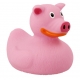 Rubber duck pig LILALU  Lilalu