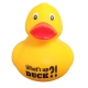 DUCKY TALK What's up DUCK ?!  Enten mit tekst