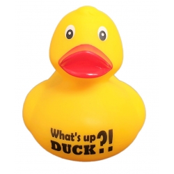 DUCKY TALK What's up DUCK ?!  Enten mit tekst