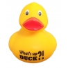 DUCKY TALK  What's up DUCK ?!