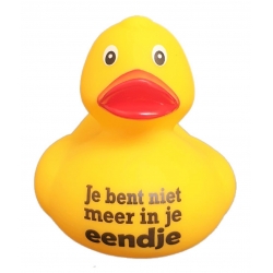 DUCKY TALK Je bent niet meer in je eendje  Enten mit tekst