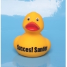 Ente mit eigenen Name / text