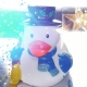Badeeend sneeuwpop DR  Overige eendjes