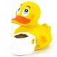 Coffee duck Lanco  Lanco