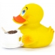 Coffee duck Lanco  Lanco