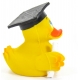 Diploma duck Lanco  Lanco