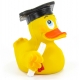 Diploma duck Lanco  Lanco