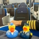 Gummi-Ente pilot DR  Beruf enten