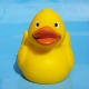 Badeend Ducky 7,5 cm DR  Geel