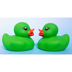 Rubber duck mini lime green B  Other colors