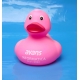 Rubberduck pink 8 cm B  Other colors