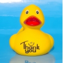 DUCKY TALK  Thank You Yellow