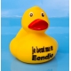 DUCKY TALK Je bent me er eendje yellow  Ducks with text