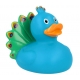 Rubber duck peacock LILALU  Lilalu