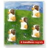Mini magneetjes Hond  Sint-bernard Barry