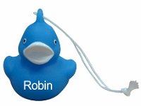 Robin-klein