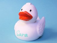 duckywitmetnaam
